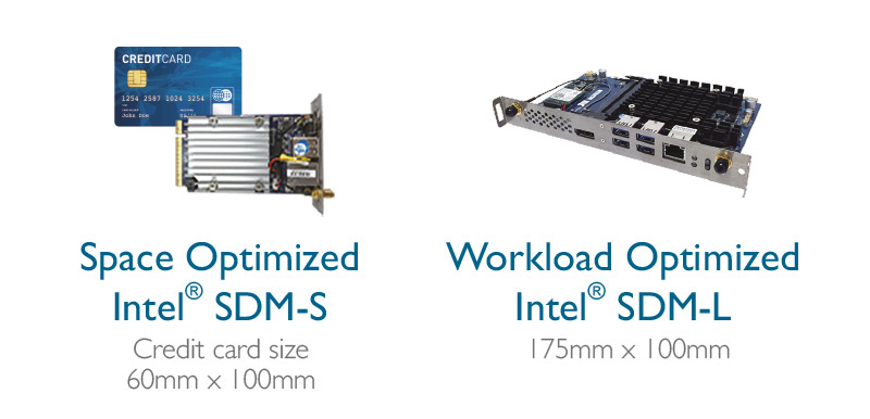 Intel SDM processors